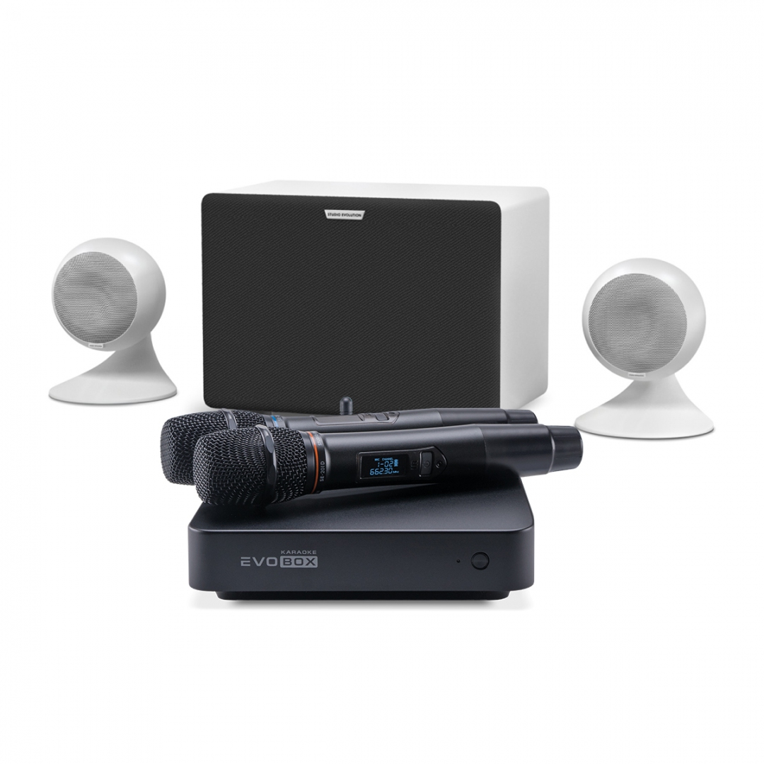 караоке-комплект EVOBOX Classic + EvoSound Sphere 2.1 в Краснодарском крае