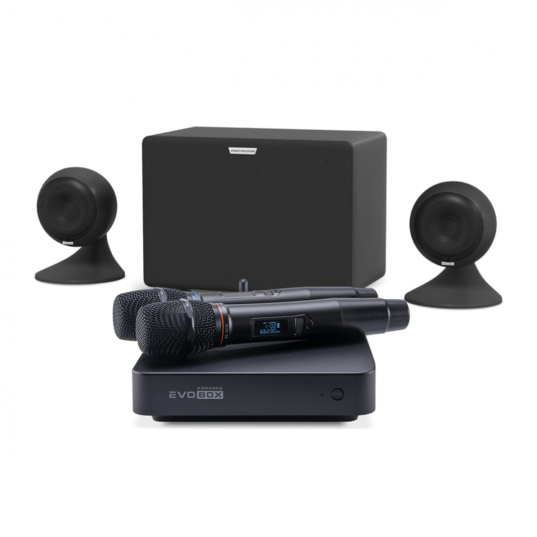 караоке-комплект EVOBOX Plus + EvoSound Sphere 2.1 в Краснодарском крае